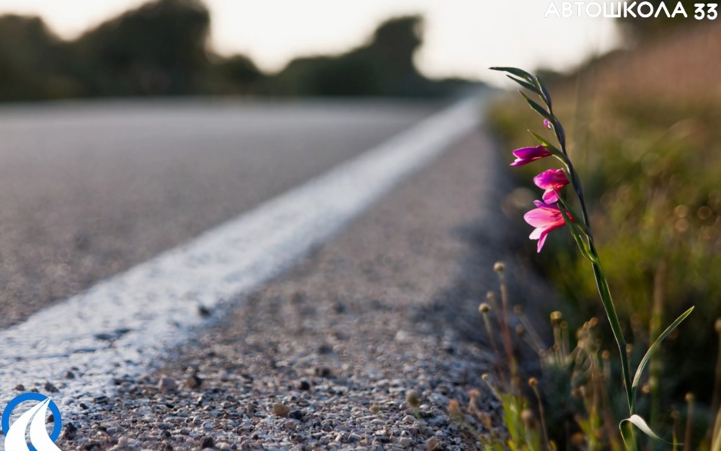 Весна — время перемен. Сделай жизнь ярче!